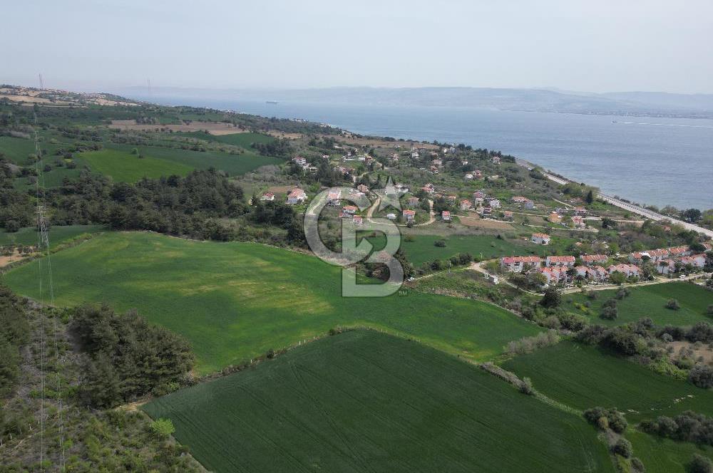 GELİBOLU PAZARLI'DA EKO TURİZM VE KONUT İMARLI SATILIK ARSA