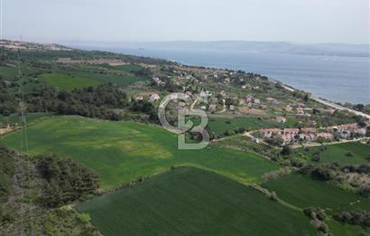 GELİBOLU PAZARLI'DA EKO TURİZM VE KONUT İMARLI SATILIK ARSA