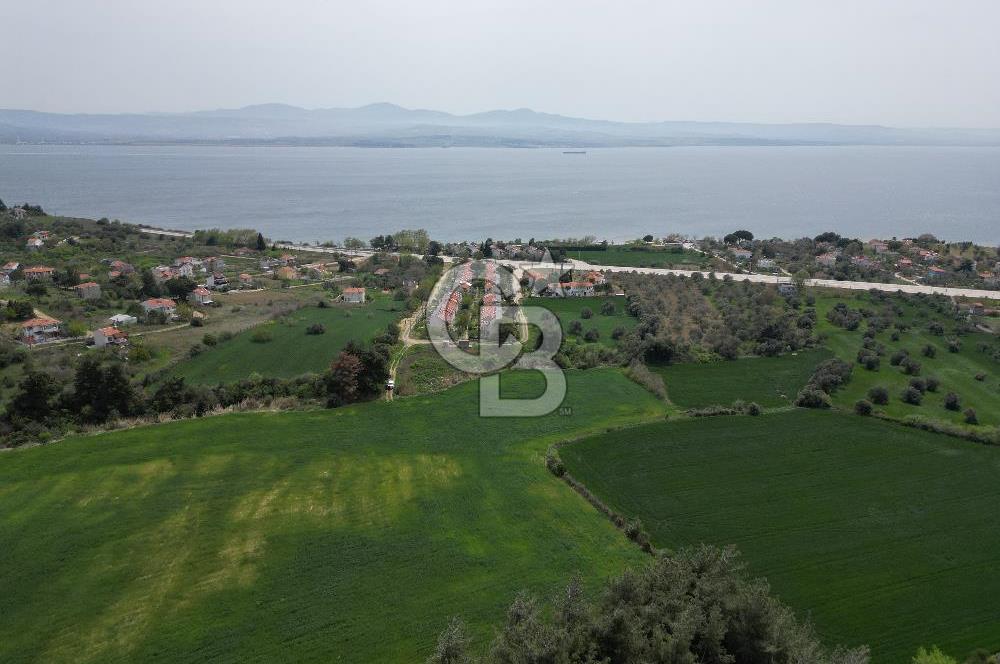 GELİBOLU PAZARLI'DA EKO TURİZM VE KONUT İMARLI SATILIK ARSA