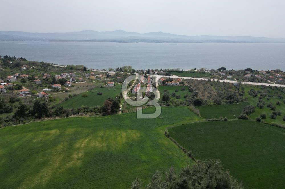 GELİBOLU PAZARLI'DA EKO TURİZM VE KONUT İMARLI SATILIK ARSA