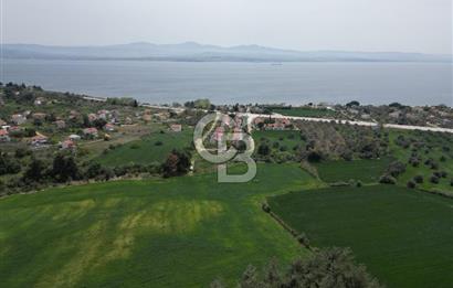 GELİBOLU PAZARLI'DA EKO TURİZM VE KONUT İMARLI SATILIK ARSA