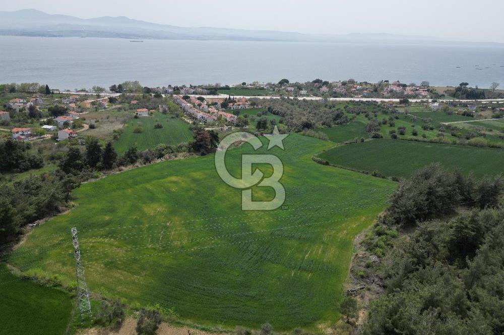 GELİBOLU PAZARLI'DA EKO TURİZM VE KONUT İMARLI SATILIK ARSA