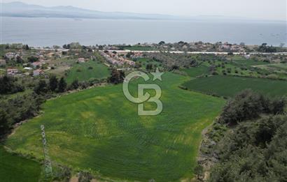GELİBOLU PAZARLI'DA EKO TURİZM VE KONUT İMARLI SATILIK ARSA
