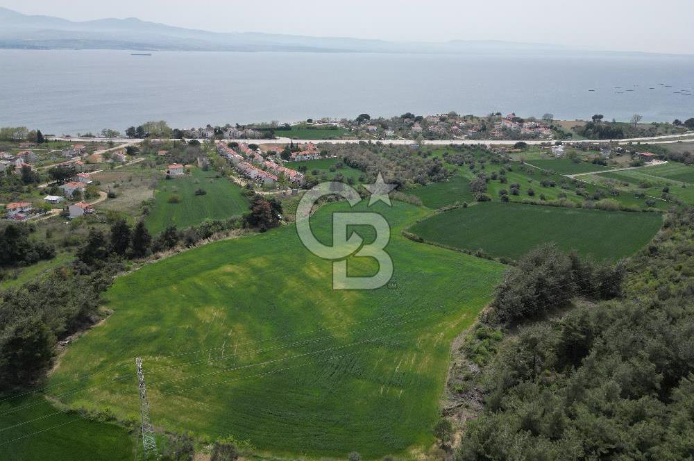 GELİBOLU PAZARLI'DA EKO TURİZM VE KONUT İMARLI SATILIK ARSA