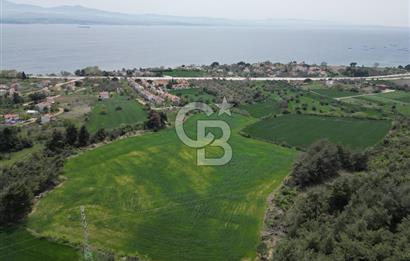 GELİBOLU PAZARLI'DA EKO TURİZM VE KONUT İMARLI SATILIK ARSA