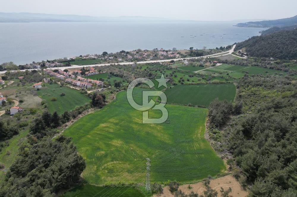 GELİBOLU PAZARLI'DA EKO TURİZM VE KONUT İMARLI SATILIK ARSA