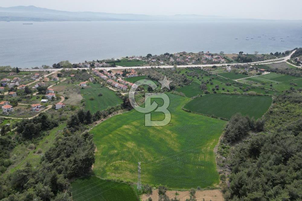 GELİBOLU PAZARLI'DA EKO TURİZM VE KONUT İMARLI SATILIK ARSA