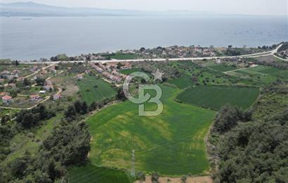 GELİBOLU PAZARLI'DA EKO TURİZM VE KONUT İMARLI SATILIK ARSA