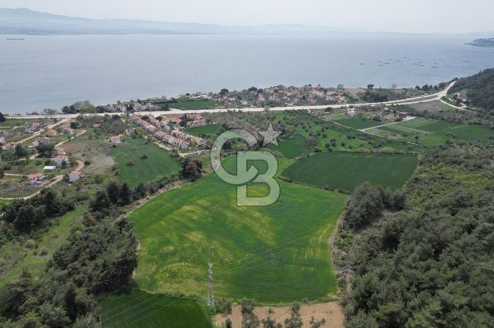 GELİBOLU PAZARLI'DA EKO TURİZM VE KONUT İMARLI SATILIK ARSA