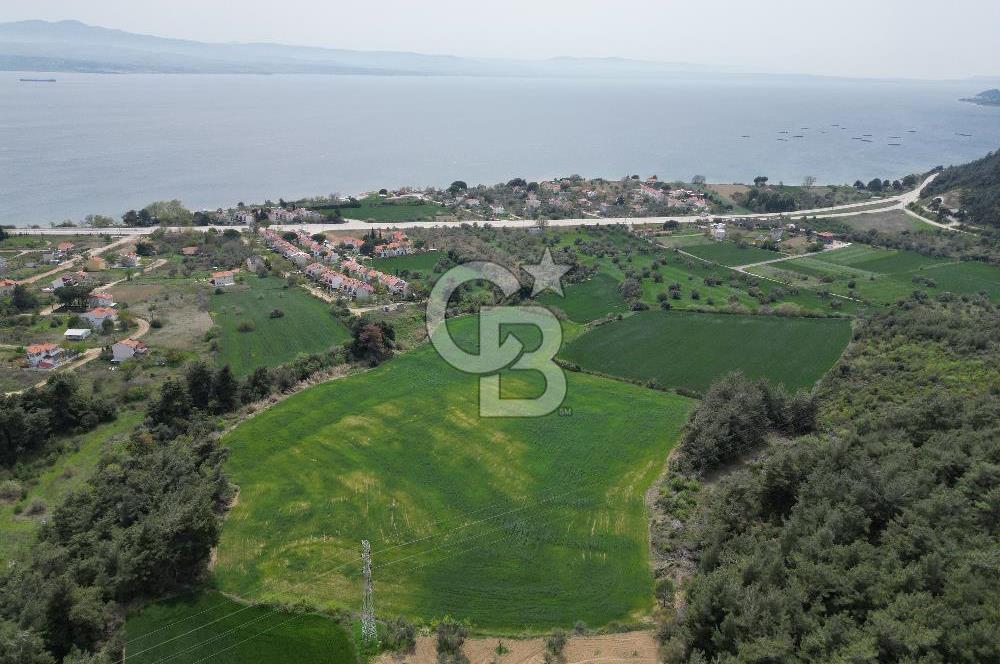 GELİBOLU PAZARLI'DA EKO TURİZM VE KONUT İMARLI SATILIK ARSA