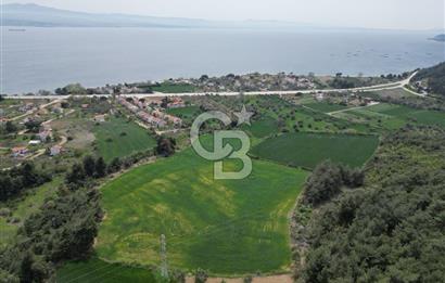 GELİBOLU PAZARLI'DA EKO TURİZM VE KONUT İMARLI SATILIK ARSA