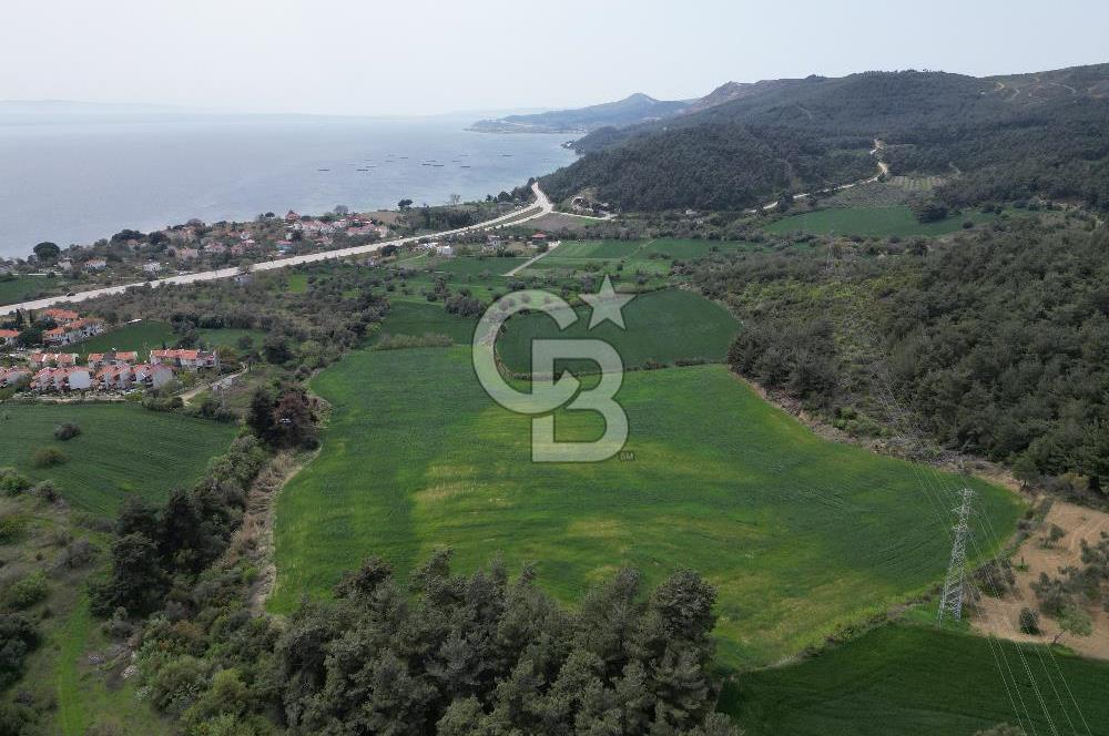 GELİBOLU PAZARLI'DA EKO TURİZM VE KONUT İMARLI SATILIK ARSA