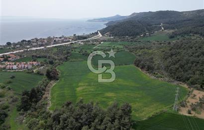 GELİBOLU PAZARLI'DA EKO TURİZM VE KONUT İMARLI SATILIK ARSA