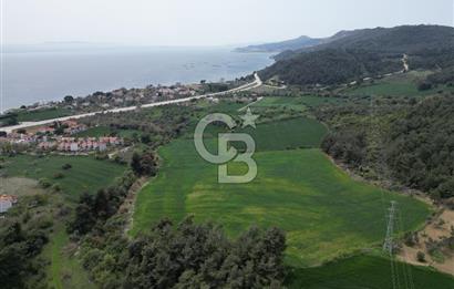GELİBOLU PAZARLI'DA EKO TURİZM VE KONUT İMARLI SATILIK ARSA