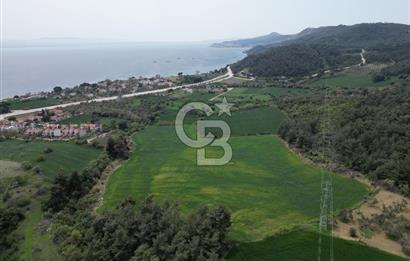 GELİBOLU PAZARLI'DA EKO TURİZM VE KONUT İMARLI SATILIK ARSA