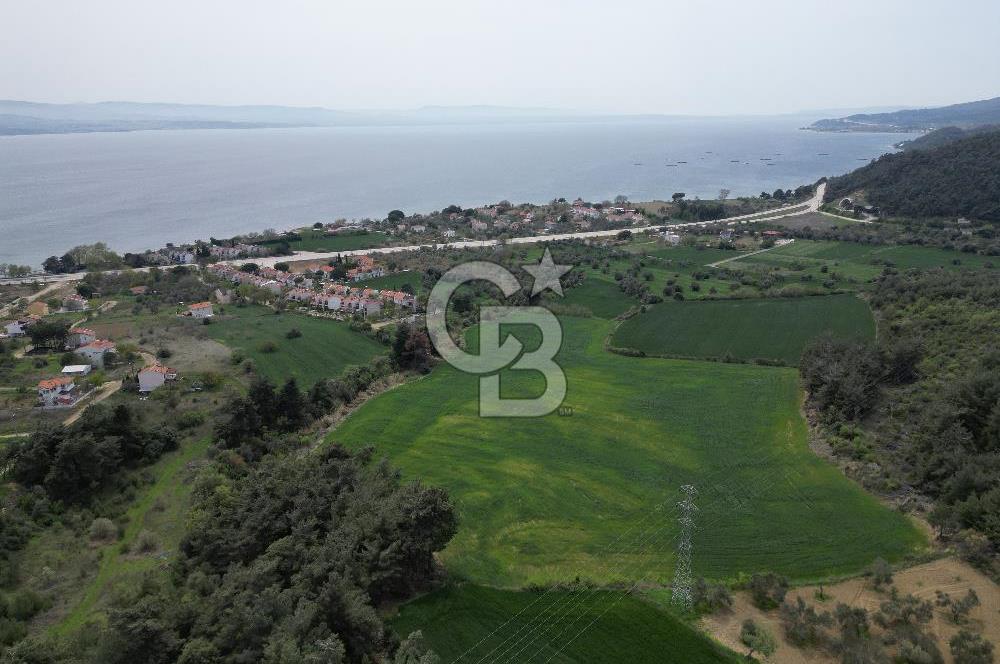 GELİBOLU PAZARLI'DA EKO TURİZM VE KONUT İMARLI SATILIK ARSA