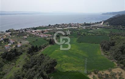 GELİBOLU PAZARLI'DA EKO TURİZM VE KONUT İMARLI SATILIK ARSA