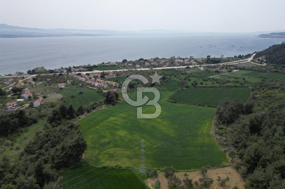 GELİBOLU PAZARLI'DA EKO TURİZM VE KONUT İMARLI SATILIK ARSA