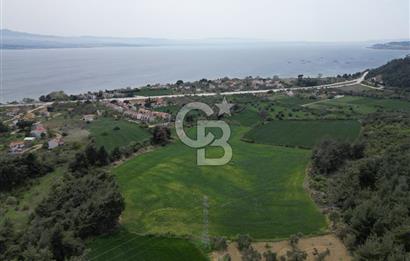GELİBOLU PAZARLI'DA EKO TURİZM VE KONUT İMARLI SATILIK ARSA