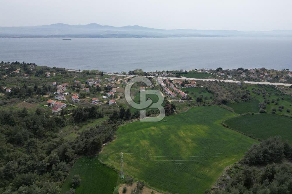 GELİBOLU PAZARLI'DA EKO TURİZM VE KONUT İMARLI SATILIK ARSA