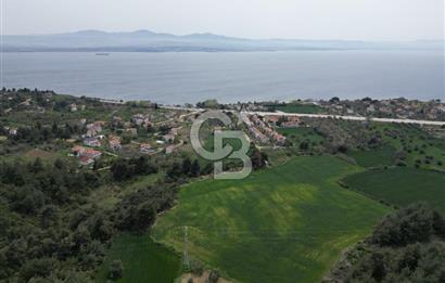 GELİBOLU PAZARLI'DA EKO TURİZM VE KONUT İMARLI SATILIK ARSA