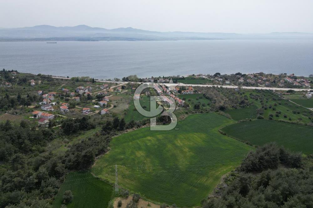 GELİBOLU PAZARLI'DA EKO TURİZM VE KONUT İMARLI SATILIK ARSA