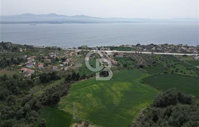 GELİBOLU PAZARLI'DA EKO TURİZM VE KONUT İMARLI SATILIK ARSA