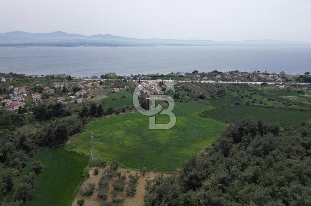 GELİBOLU PAZARLI'DA EKO TURİZM VE KONUT İMARLI SATILIK ARSA