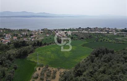 GELİBOLU PAZARLI'DA EKO TURİZM VE KONUT İMARLI SATILIK ARSA