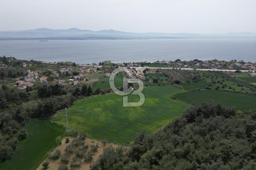 GELİBOLU PAZARLI'DA EKO TURİZM VE KONUT İMARLI SATILIK ARSA