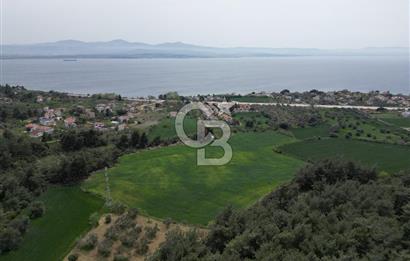GELİBOLU PAZARLI'DA EKO TURİZM VE KONUT İMARLI SATILIK ARSA