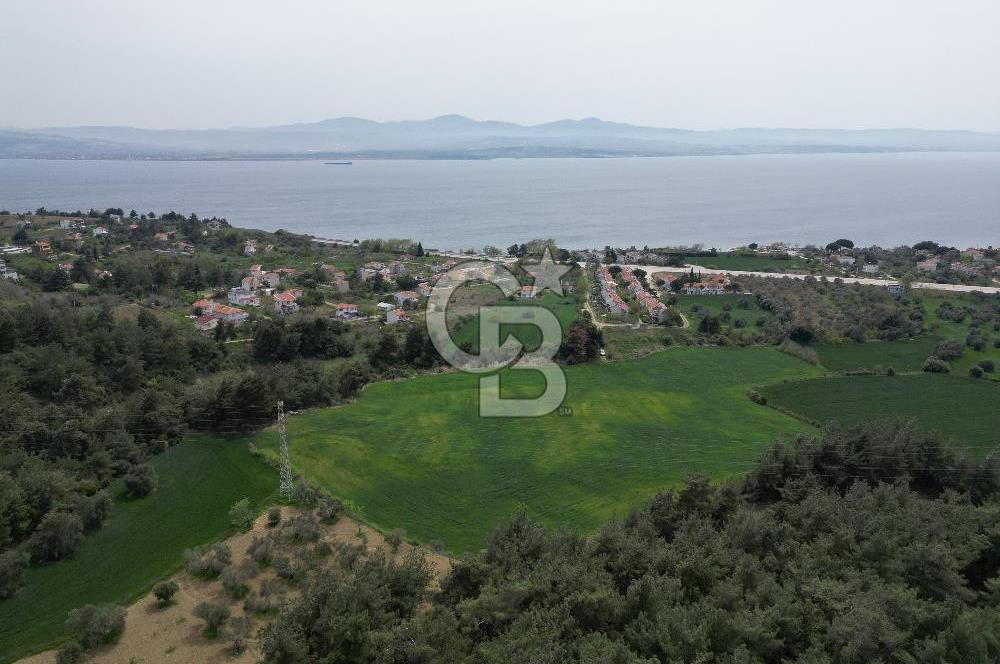 GELİBOLU PAZARLI'DA EKO TURİZM VE KONUT İMARLI SATILIK ARSA