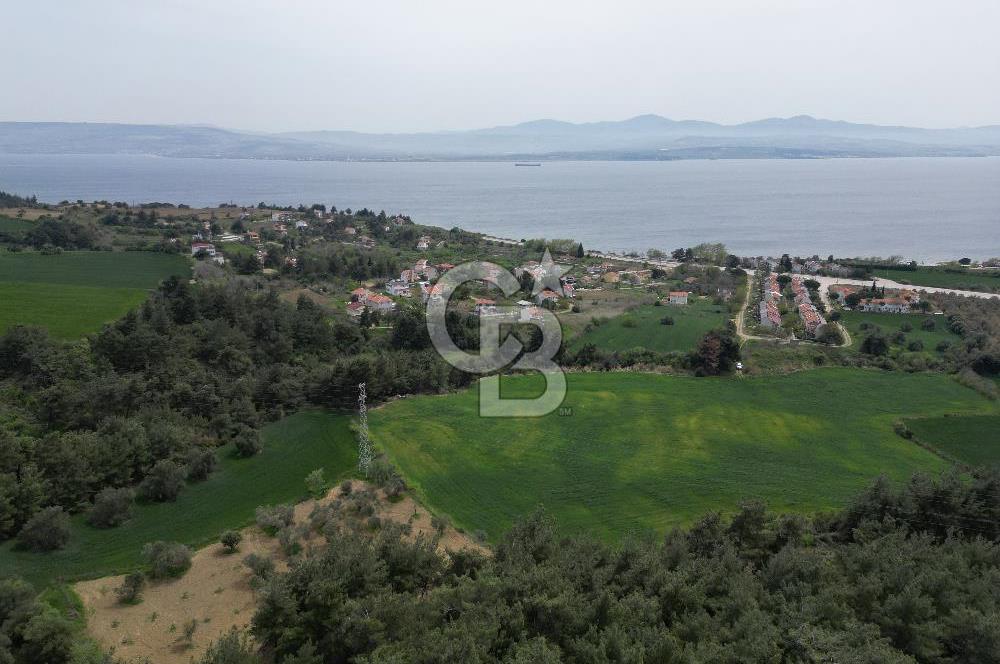 GELİBOLU PAZARLI'DA EKO TURİZM VE KONUT İMARLI SATILIK ARSA