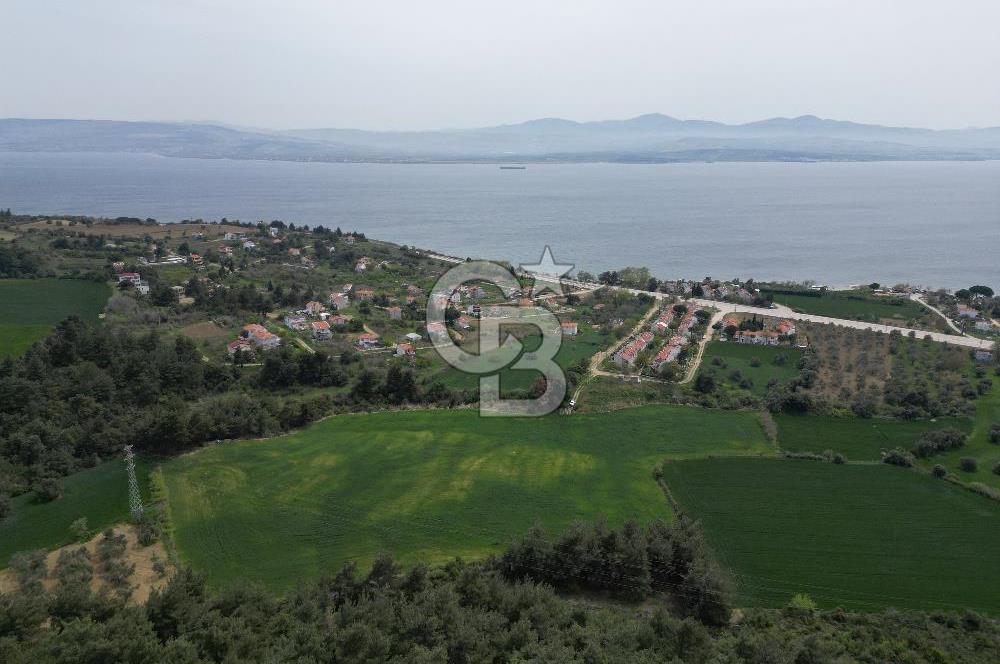 GELİBOLU PAZARLI'DA EKO TURİZM VE KONUT İMARLI SATILIK ARSA