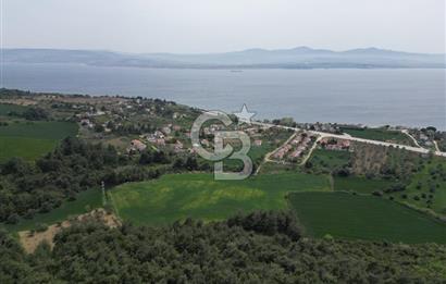 GELİBOLU PAZARLI'DA EKO TURİZM VE KONUT İMARLI SATILIK ARSA