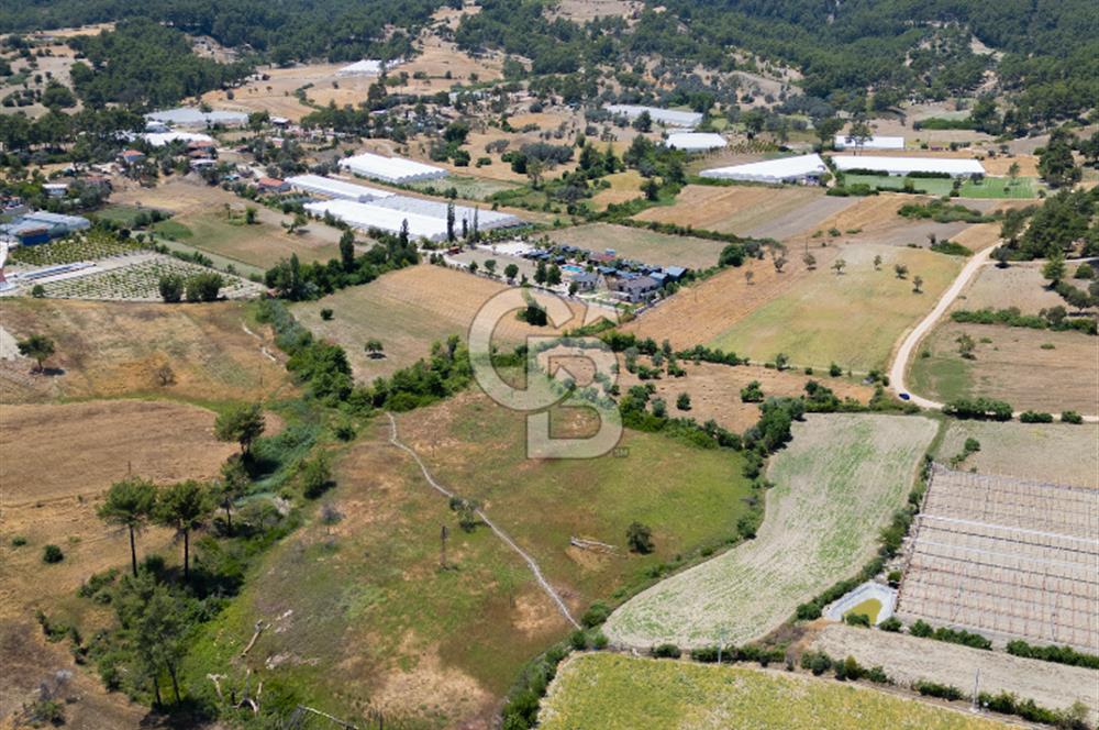 CB ARDENDEN KAŞ UĞRAR KÖYÜNDE 7146 M2 SATILIK TARLA