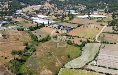 CB ARDENDEN KAŞ UĞRAR KÖYÜNDE 7146 M2 SATILIK TARLA