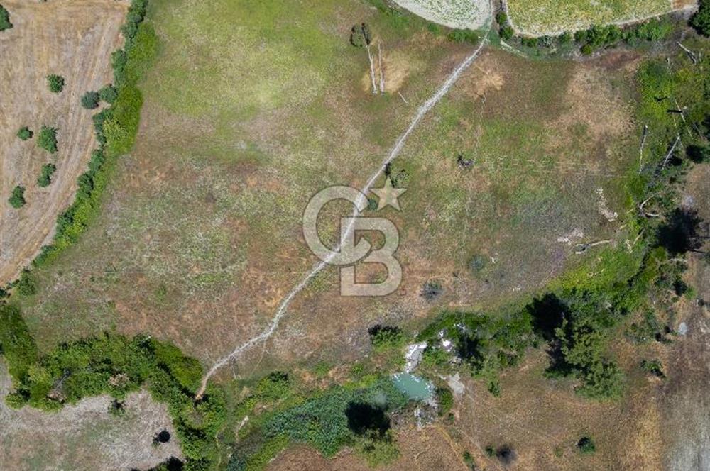 CB ARDENDEN KAŞ UĞRAR KÖYÜNDE 7146 M2 SATILIK TARLA