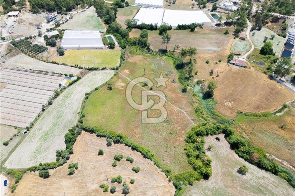 CB ARDENDEN KAŞ UĞRAR KÖYÜNDE 7146 M2 SATILIK TARLA