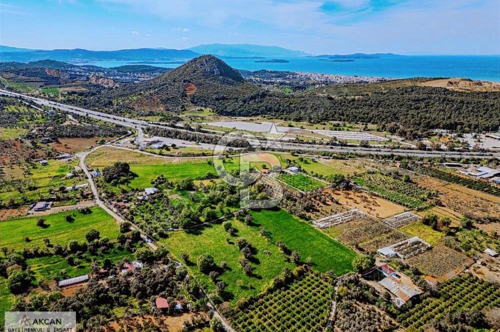 Güzelbahçe Yelki'de Ana Caddeye 500m Mesafede 19,500 m2 Tarla