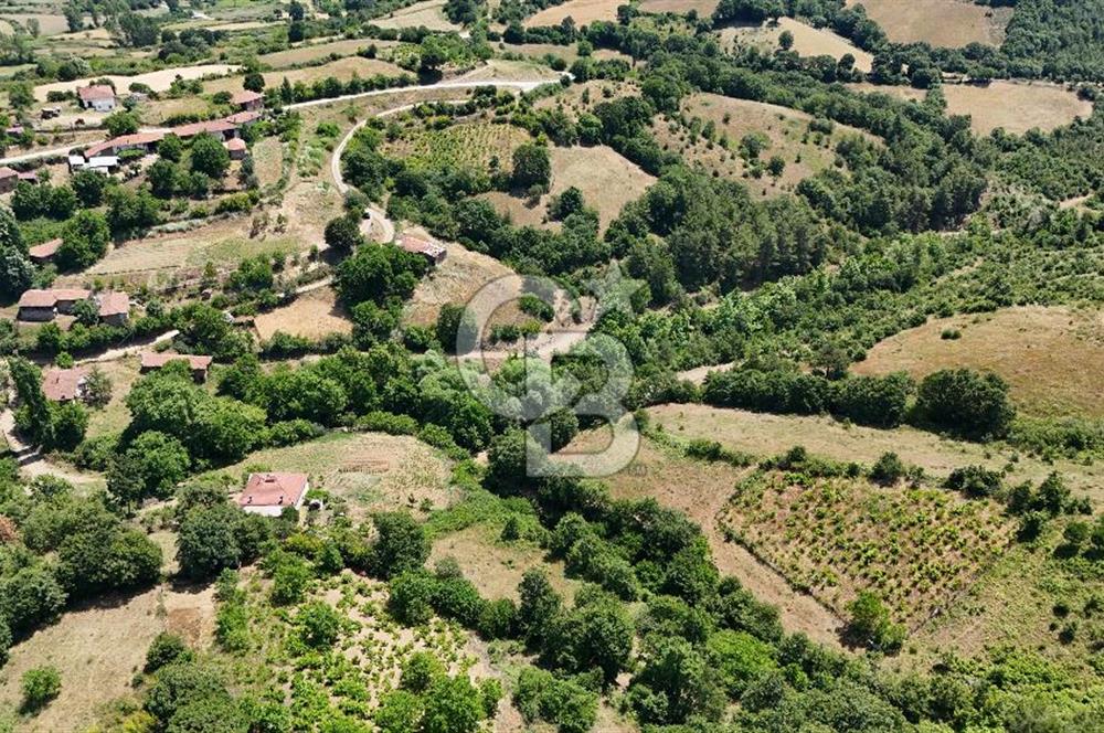 Çanakkale Yenice Umurlar Köyünde 500 M² Satılık Arsa!