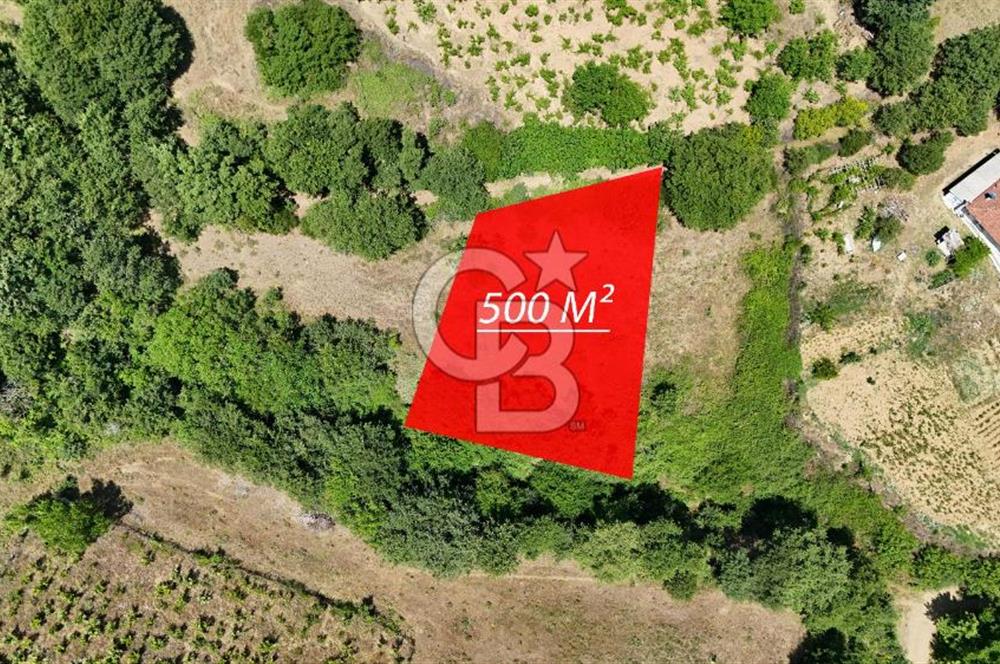 Çanakkale Yenice Umurlar Köyünde 500 M² Satılık Arsa!