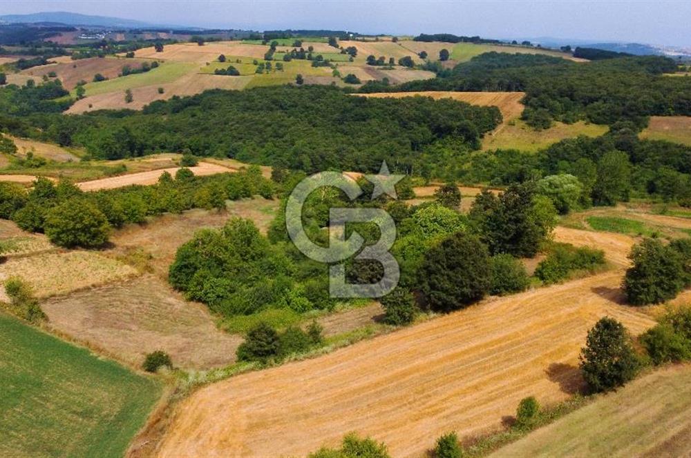 CB AKADEMİ SATILIK AMBARCI KÖY İÇİ KONUT İMARLI 1397m2 ARSA