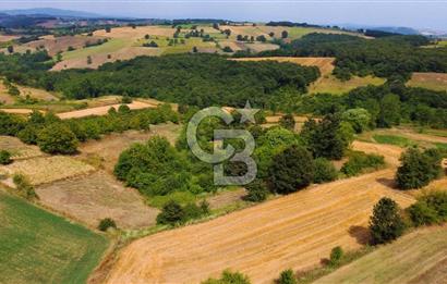 CB AKADEMİ SATILIK AMBARCI KÖY İÇİ KONUT İMARLI 1397m2 ARSA