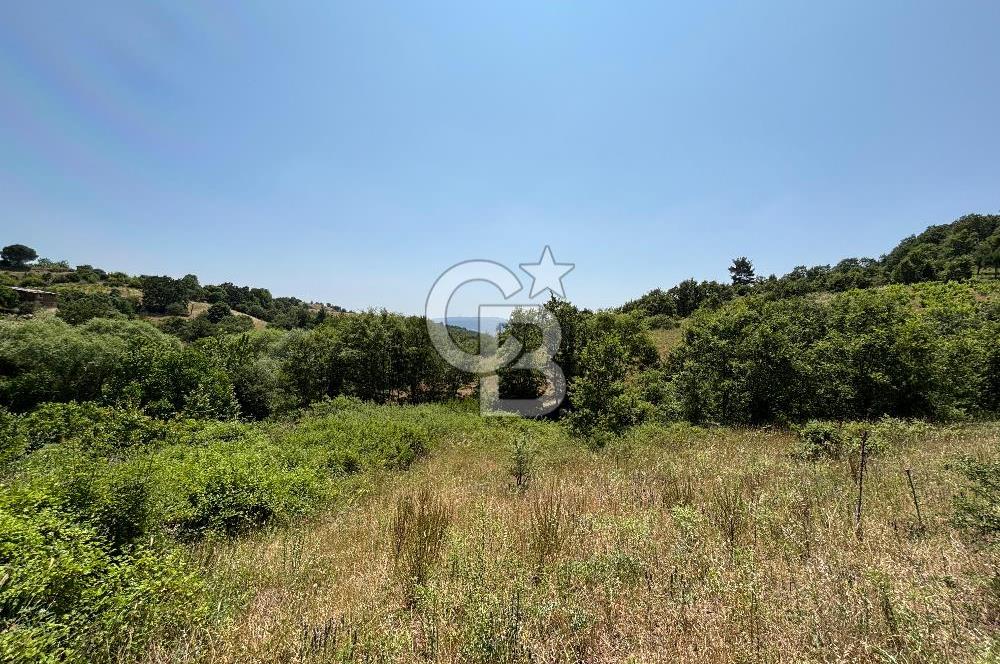 Çanakkale Yenice Umurlar Köyünde 500 M² Satılık Arsa!