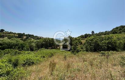 Çanakkale Yenice Umurlar Köyünde 500 M² Satılık Arsa!