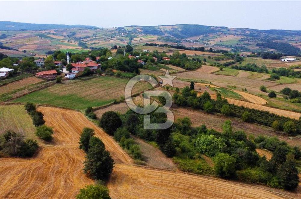 CB AKADEMİ SATILIK AMBARCI KÖY İÇİ KONUT İMARLI 1397m2 ARSA