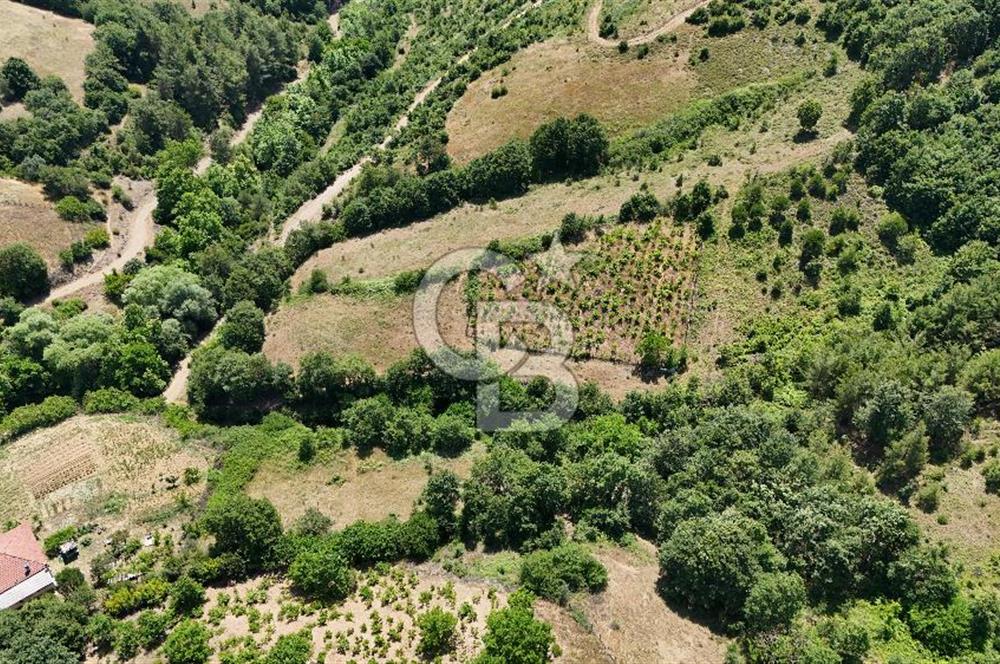 Çanakkale Yenice Umurlar Köyünde 500 M² Satılık Arsa!