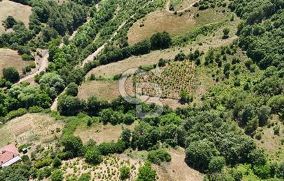 Çanakkale Yenice Umurlar Köyünde 500 M² Satılık Arsa!