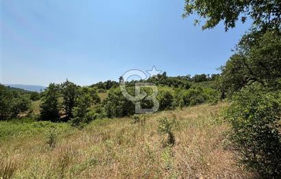 Çanakkale Yenice Umurlar Köyünde 500 M² Satılık Arsa!